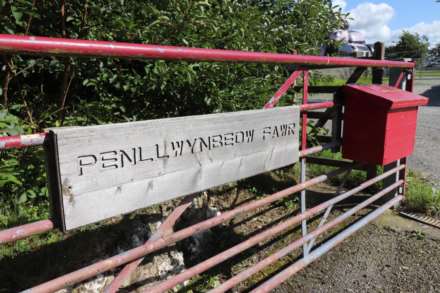 Tynreithyn, Tregaron, Image 4