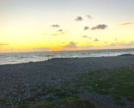Caegwylan, Borth, Image 16