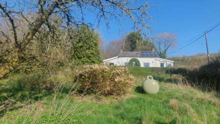 Cnwch Coch, Aberystwyth, Image 24