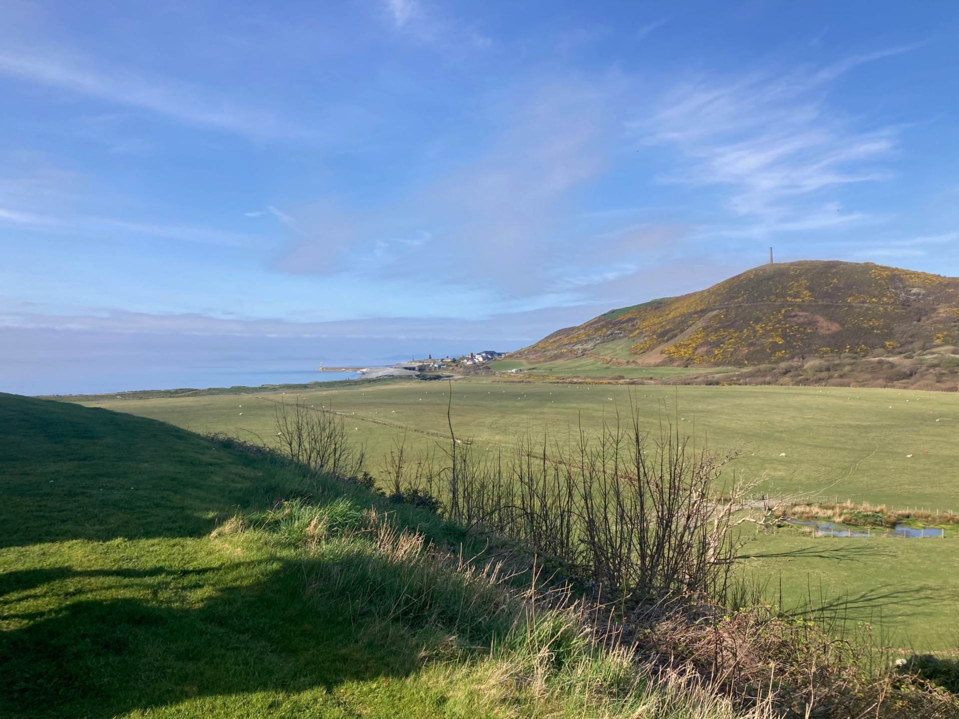 Plas Tan Y Bwlch, Rhydyfelin, Image 2