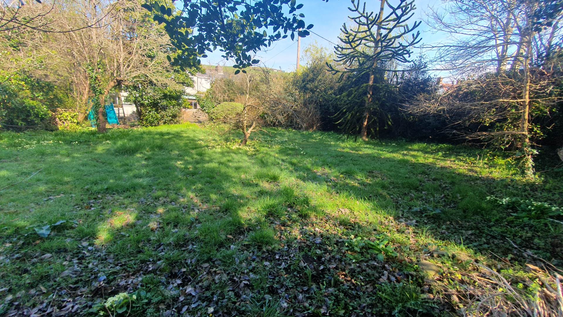 Gorlan, Llanrhystud, Image 25
