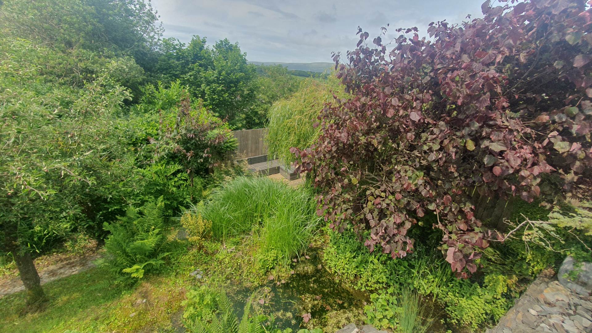 Taliesin, Machynlleth, Image 16