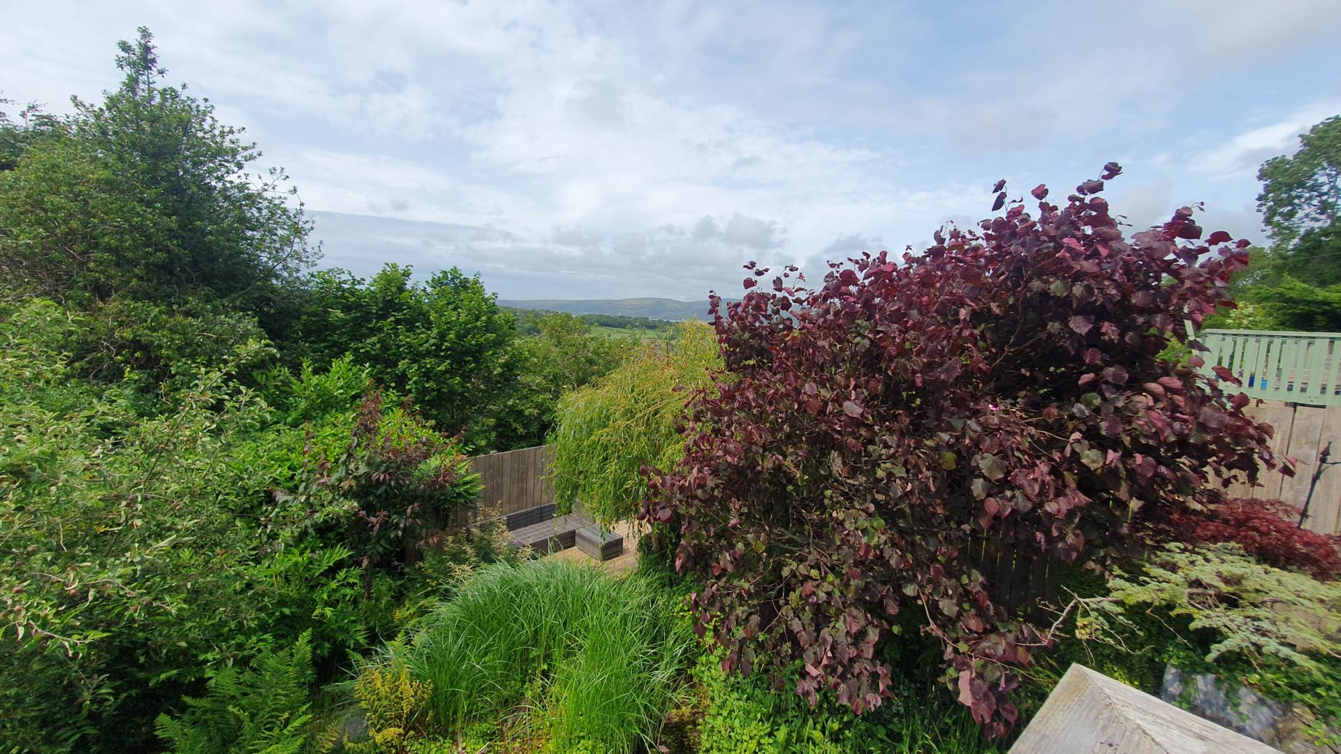 Taliesin, Machynlleth, Image 36