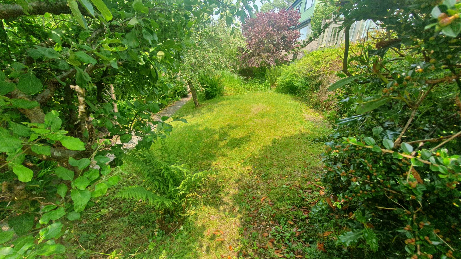 Taliesin, Machynlleth, Image 39