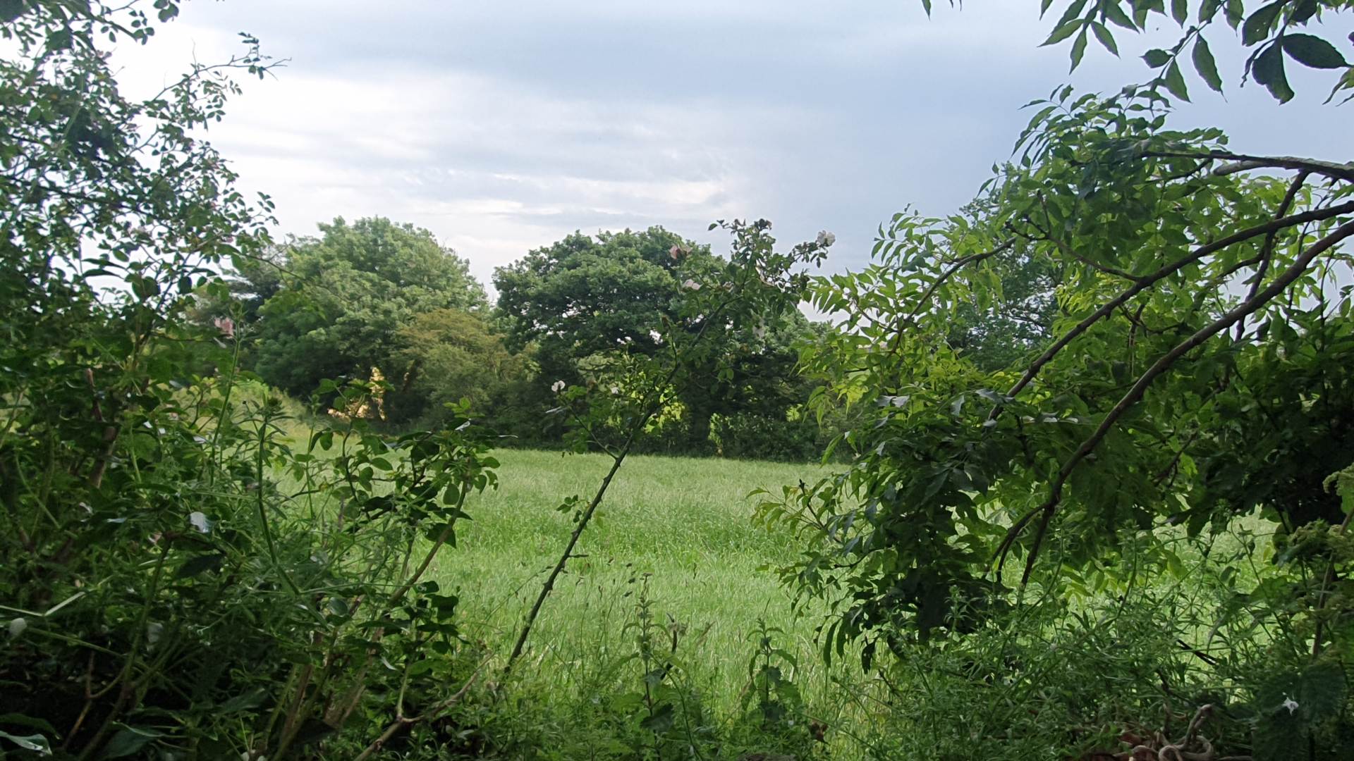 Llanrhystud, Image 41