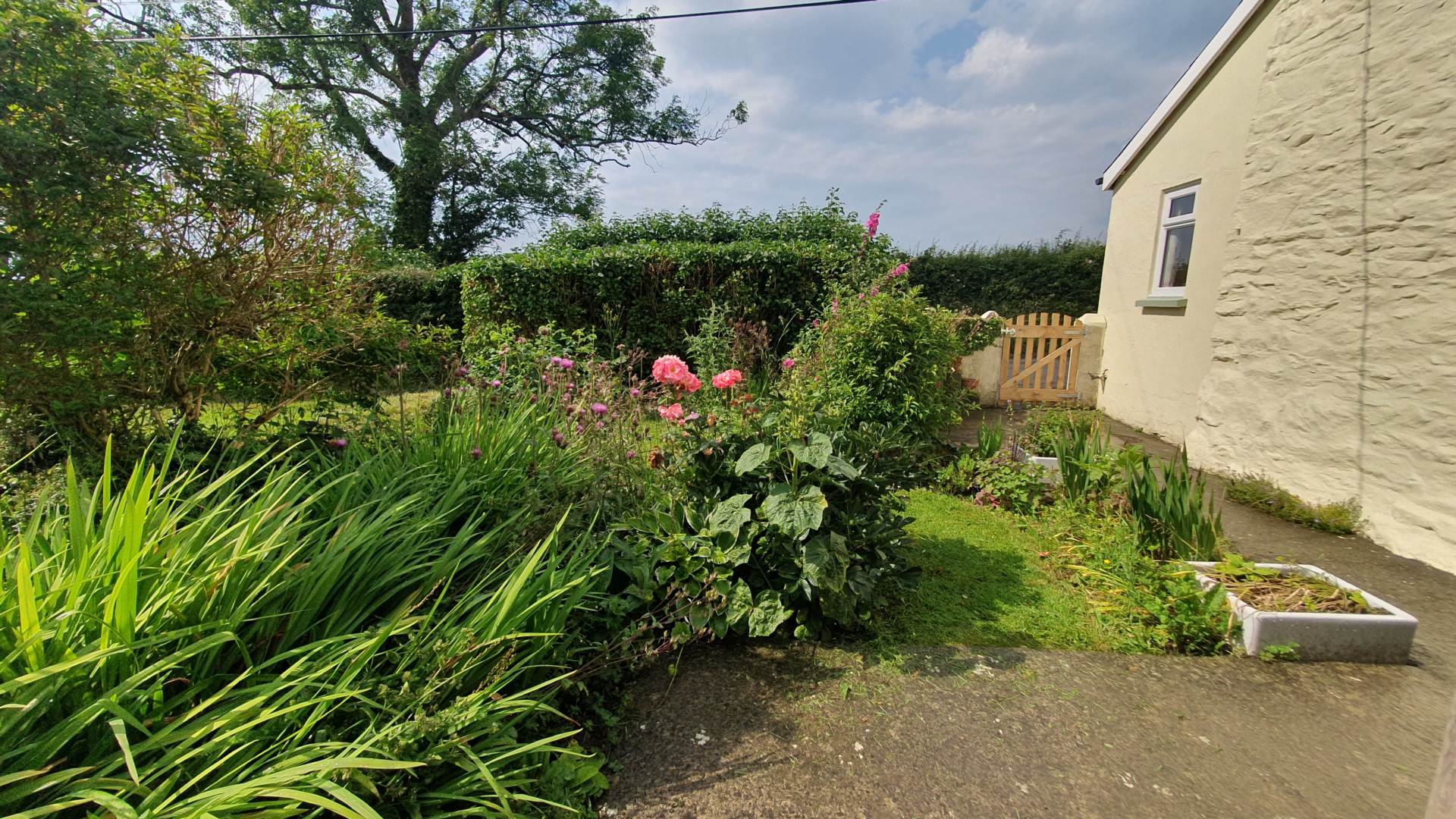 Llanrhystud, Image 48