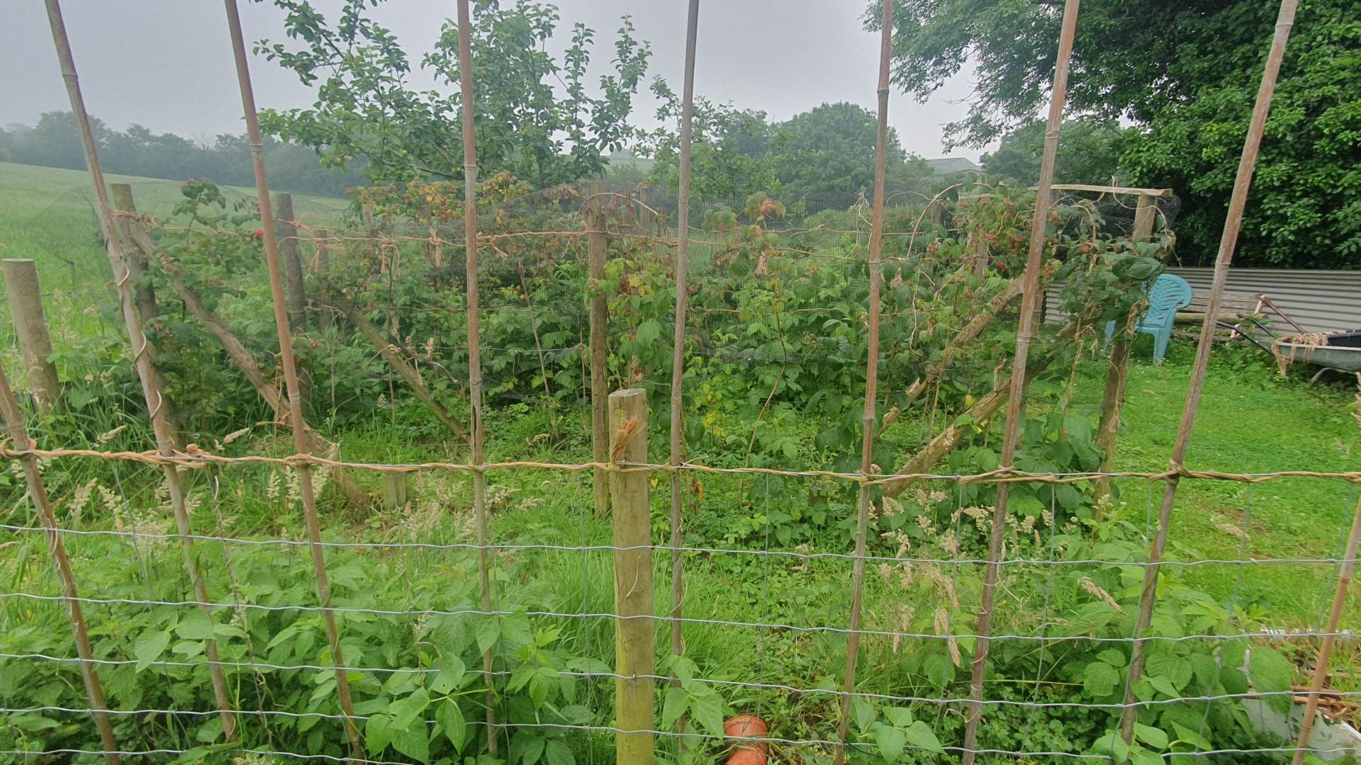 Llanrhystud, Image 58