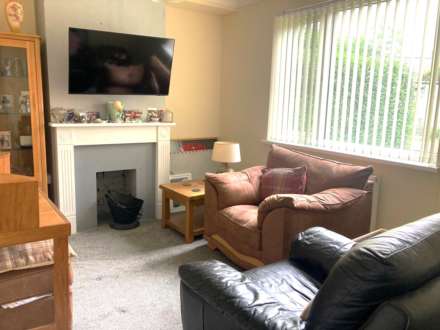 Broncynfelin, Llangorwen, Image 2