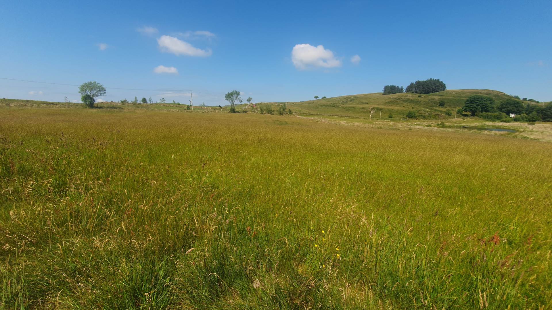 Ysbyty Ystwyth, Ystrad Meurig, Image 2
