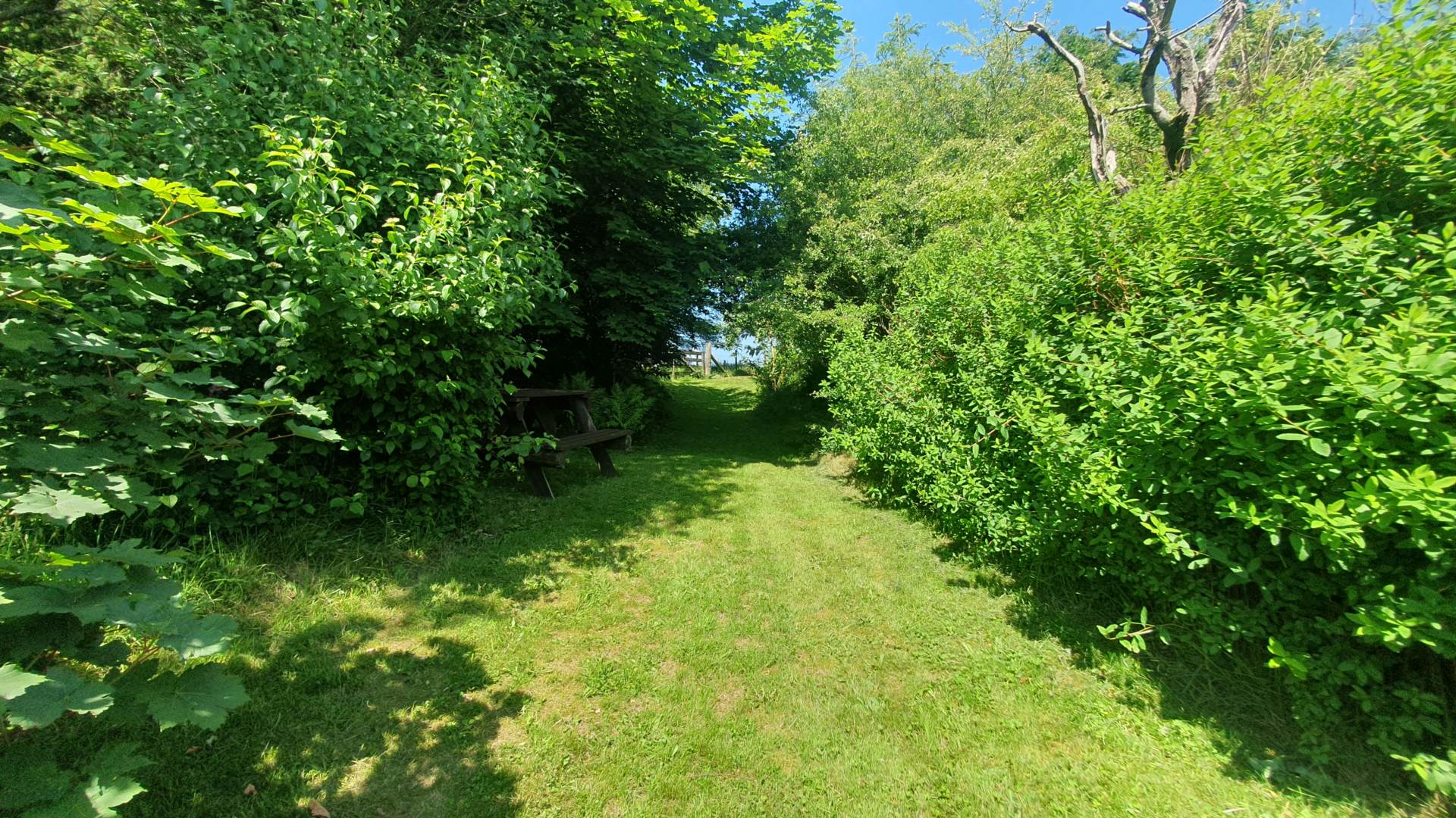 Ysbyty Ystwyth, Ystrad Meurig, Image 40