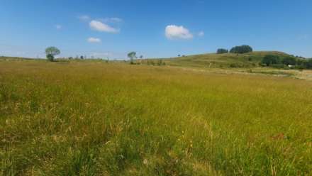 Ysbyty Ystwyth, Ystrad Meurig, Image 2