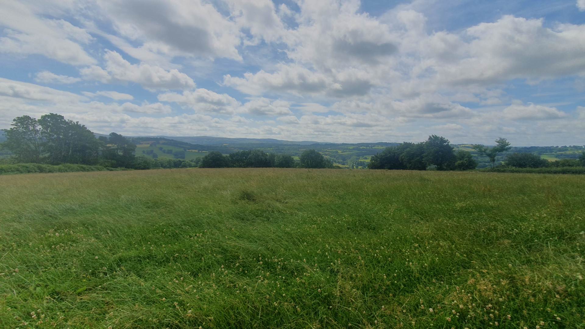 Llangeitho, Tregaron, Image 19