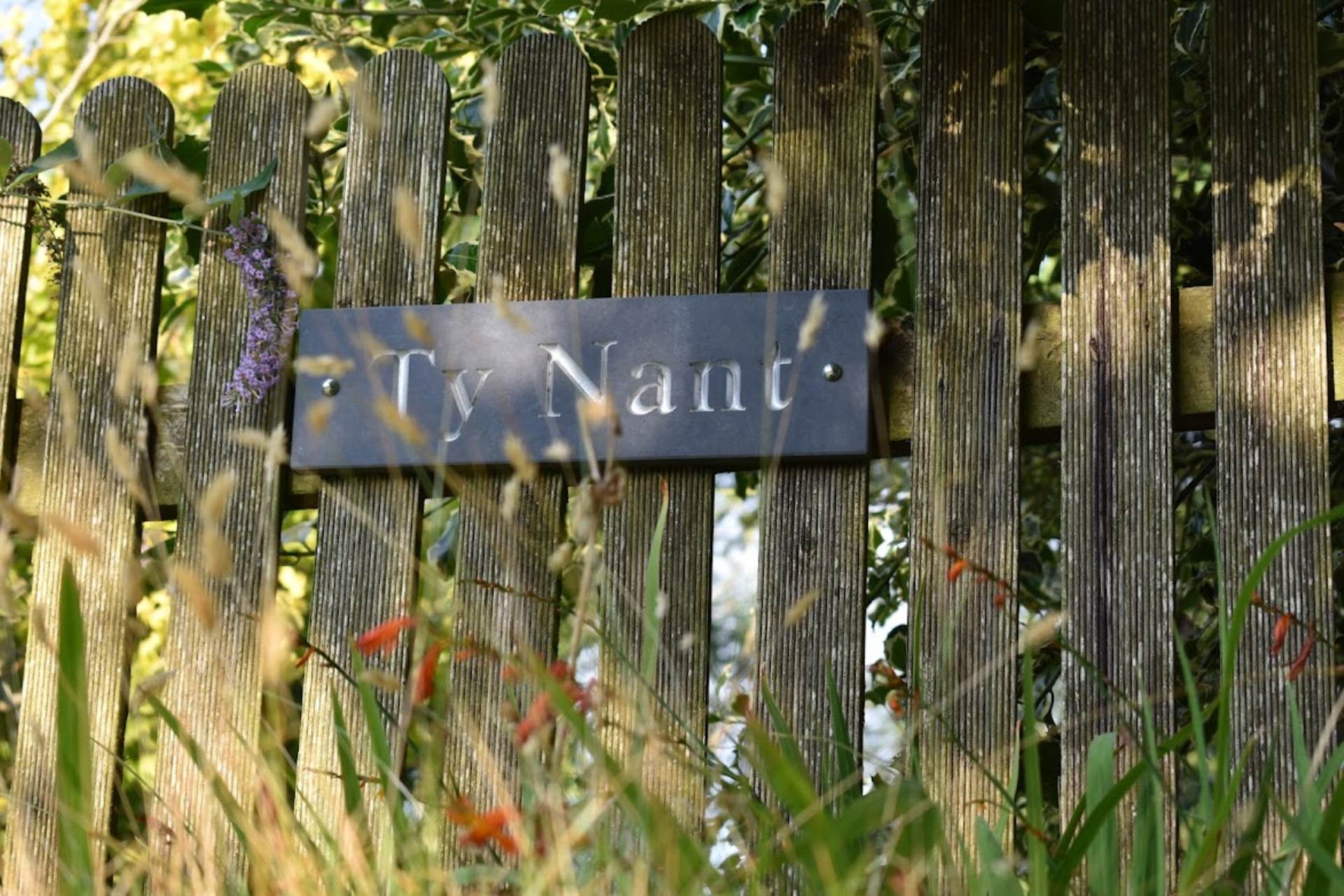 Llangwyryfon, Aberystwyth, Image 20