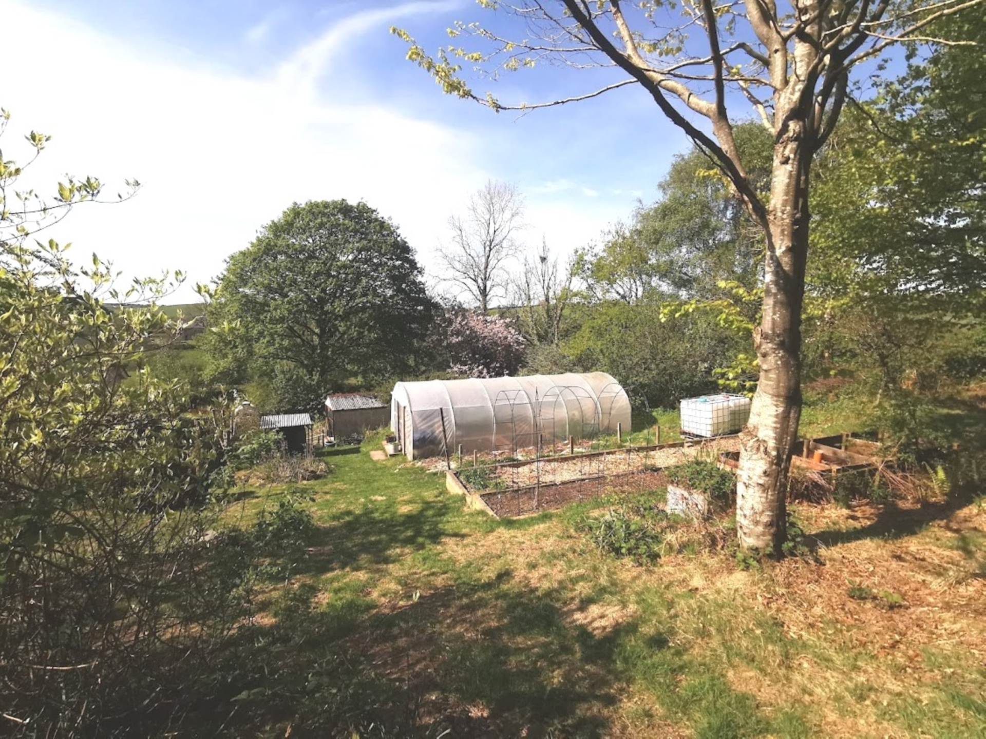 Llangwyryfon, Aberystwyth, Image 22