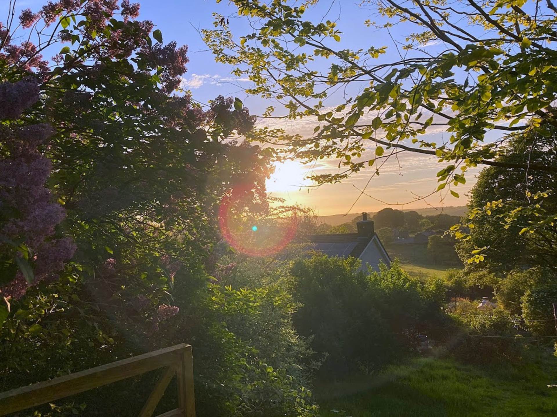 Llangwyryfon, Aberystwyth, Image 3