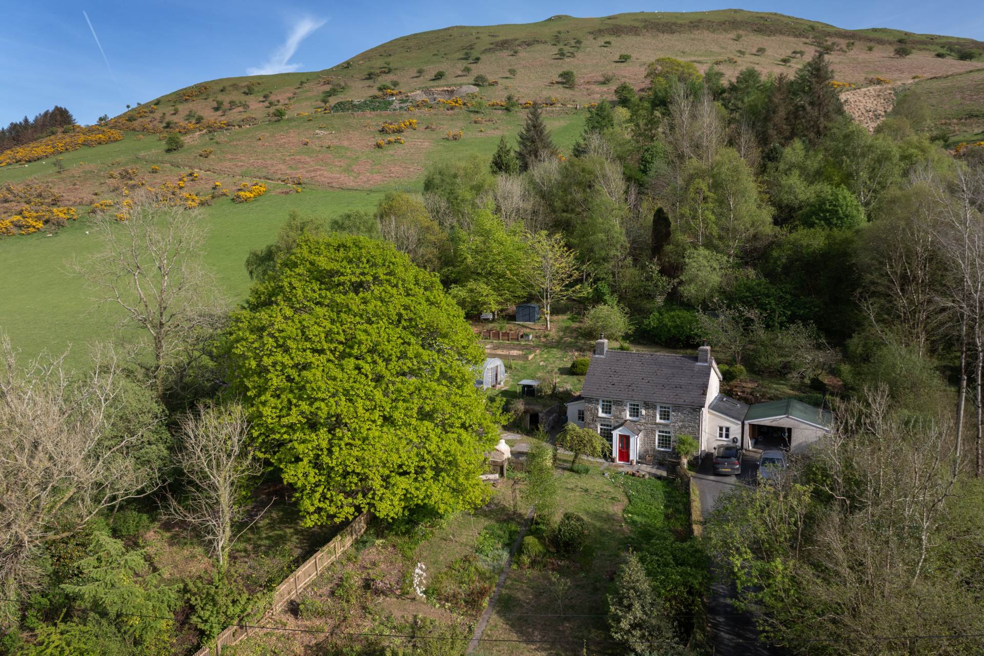 Llangwyryfon, Aberystwyth, Image 30