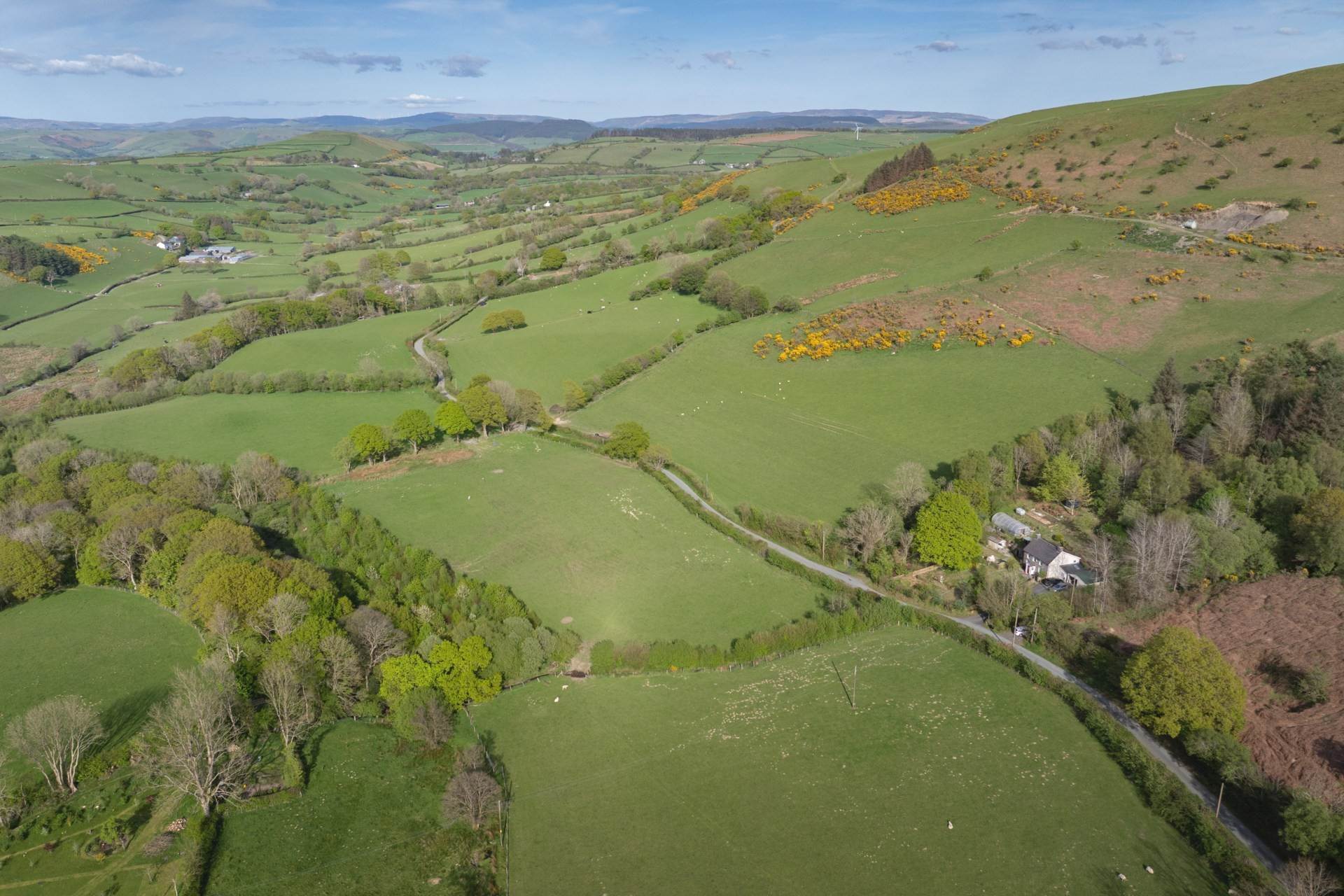 Llangwyryfon, Aberystwyth, Image 4
