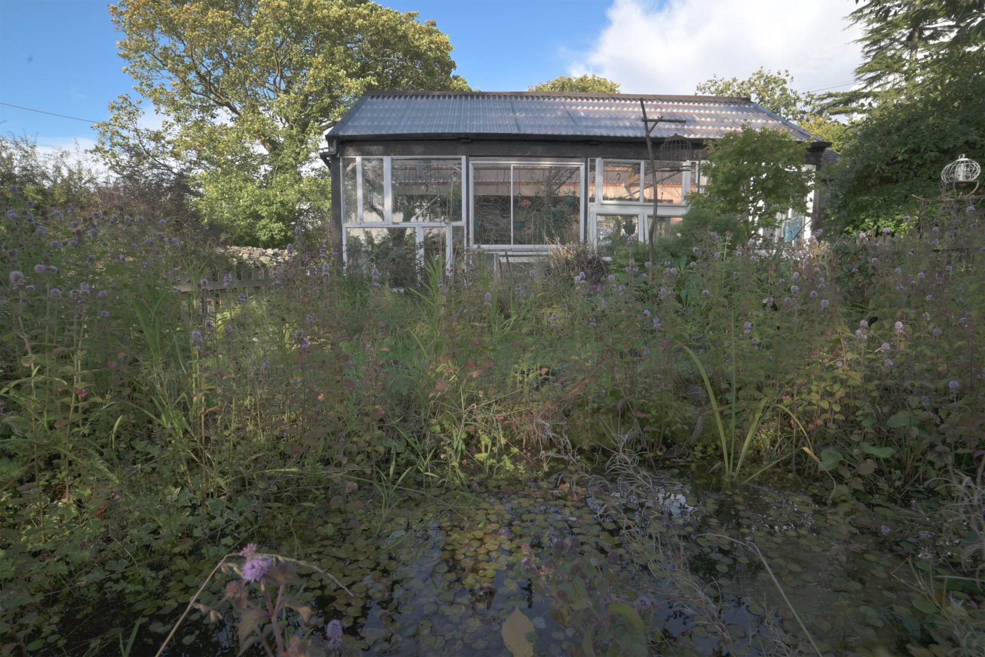 Llangwyryfon, Aberystwyth, Image 18