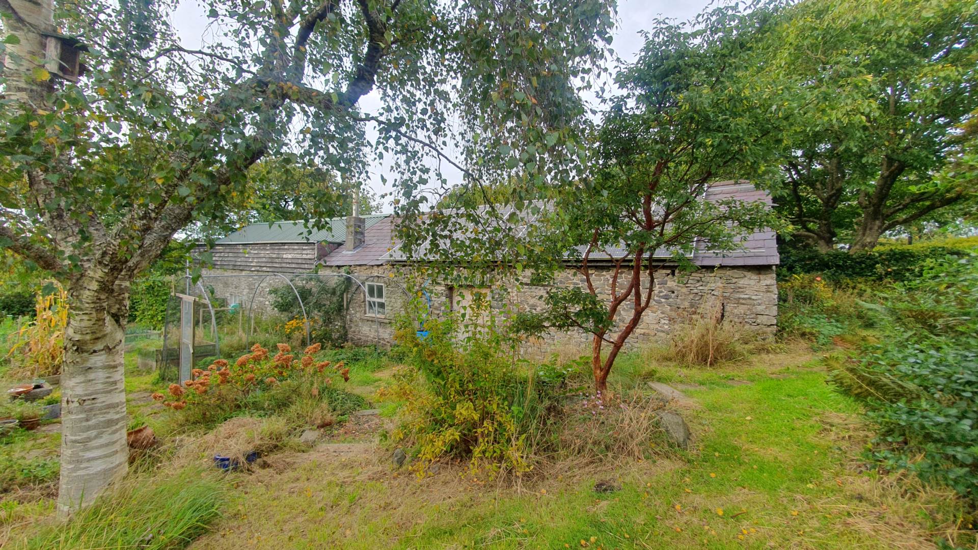 Llangwyryfon, Aberystwyth, Image 2