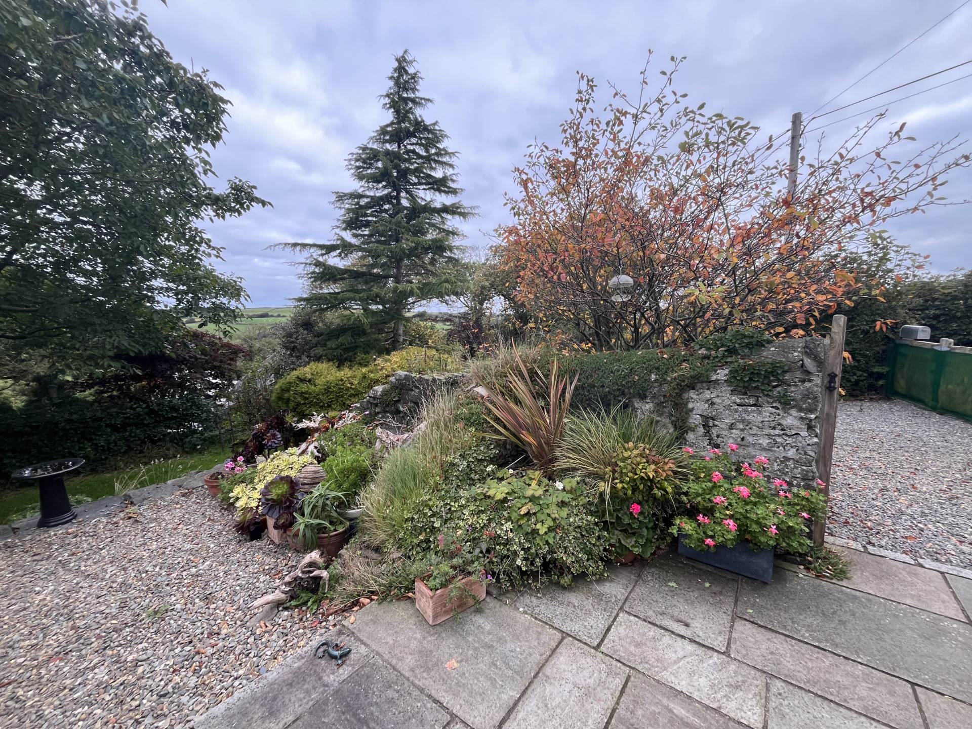 Llangwyryfon, Aberystwyth, Image 44