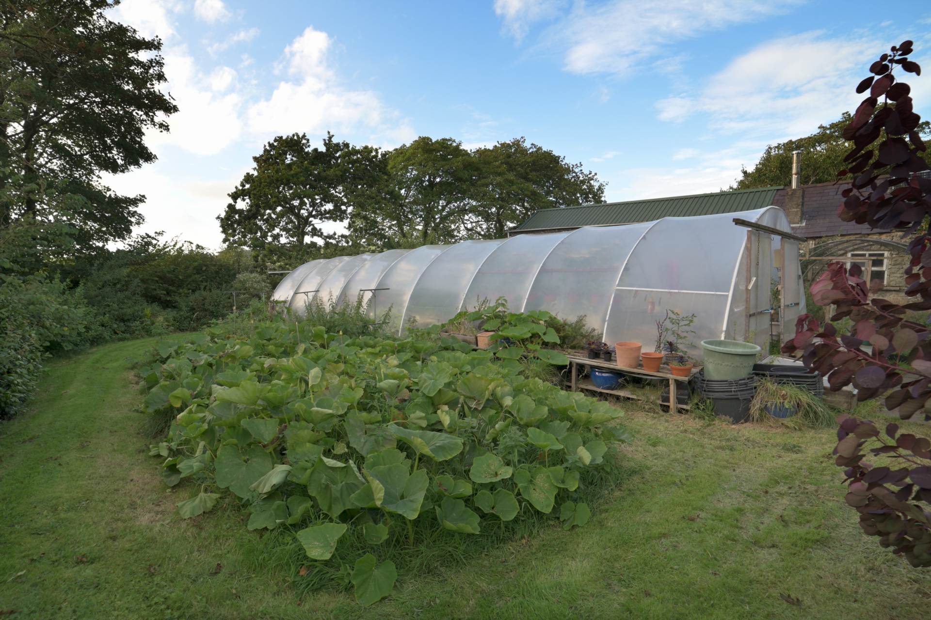 Llangwyryfon, Aberystwyth, Image 45