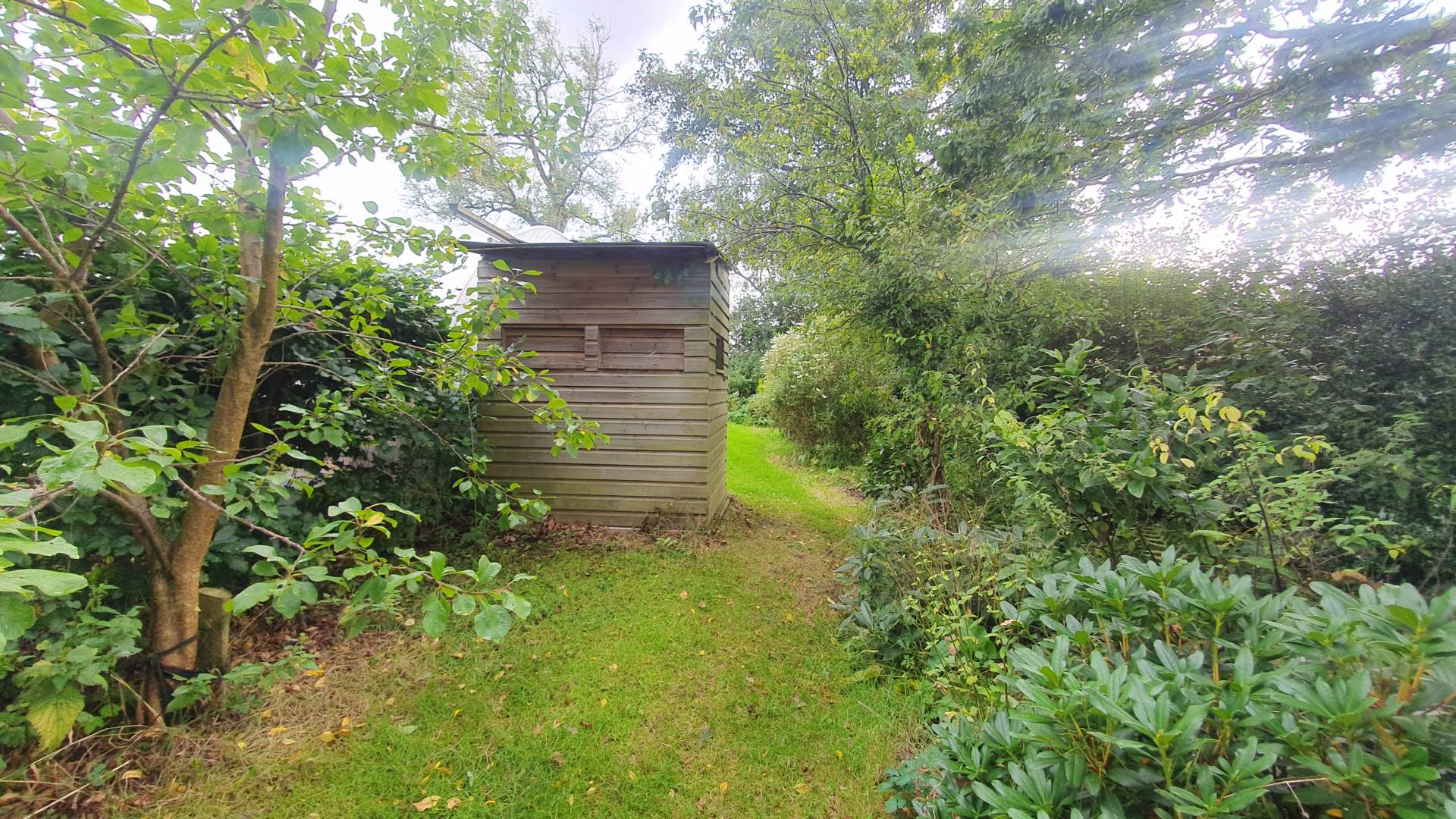 Llangwyryfon, Aberystwyth, Image 47