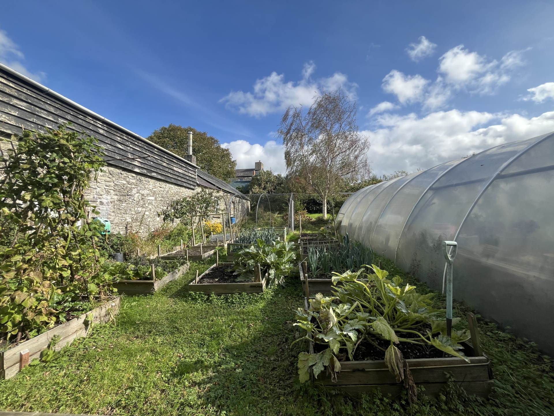 Llangwyryfon, Aberystwyth, Image 49