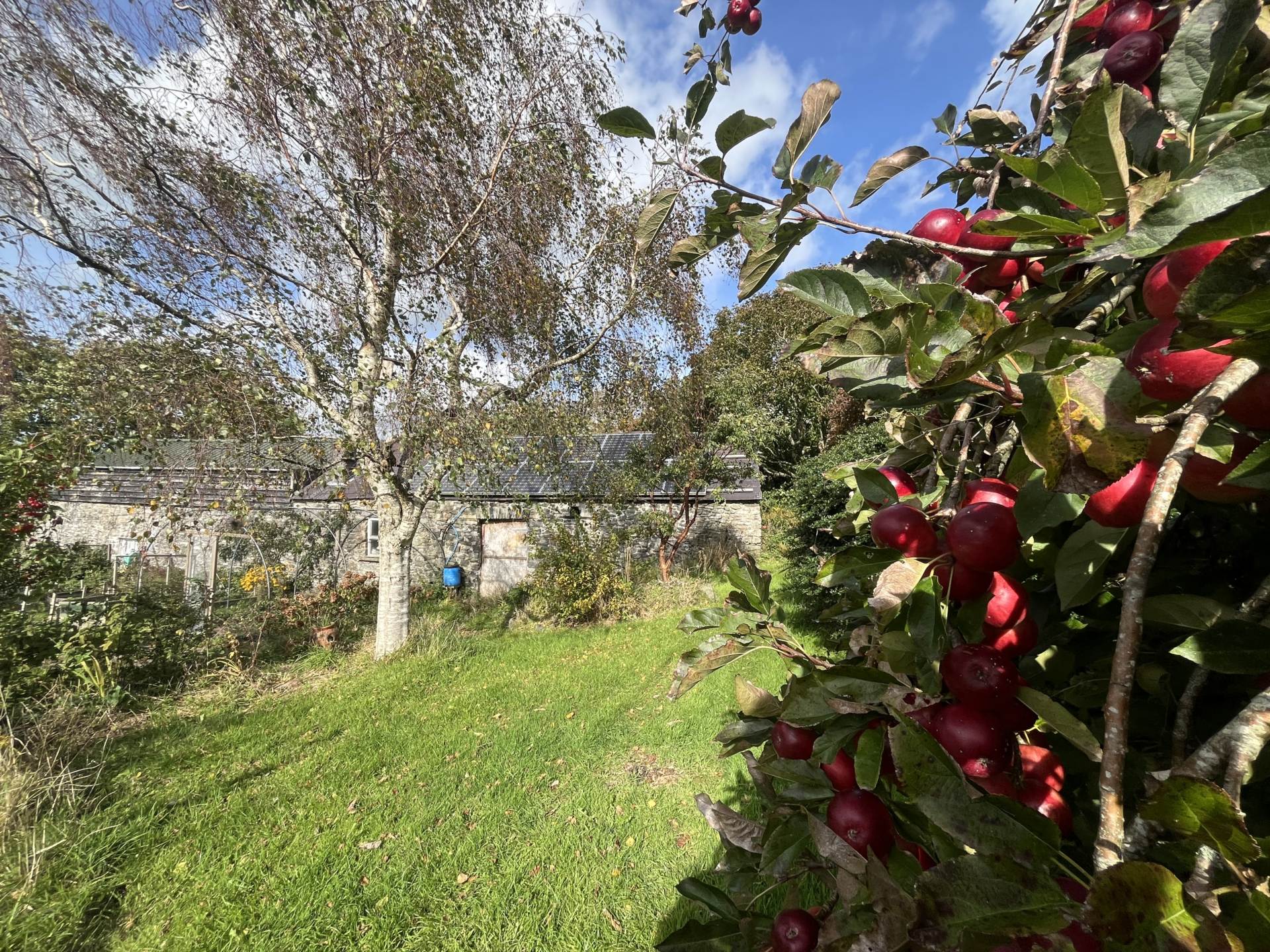 Llangwyryfon, Aberystwyth, Image 51