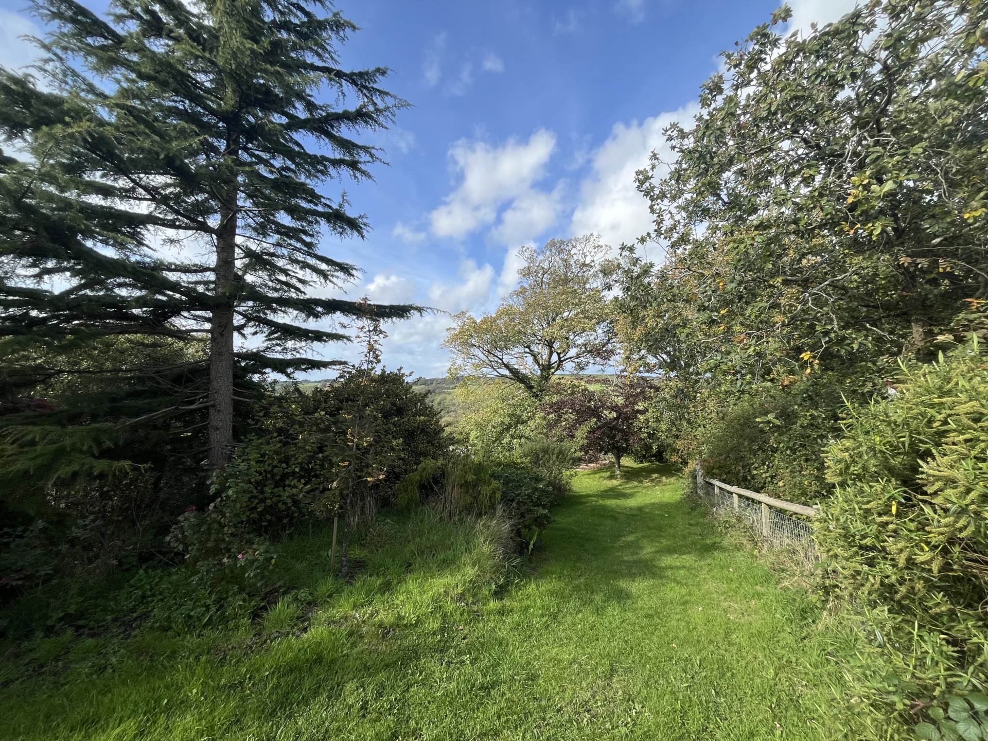 Llangwyryfon, Aberystwyth, Image 54