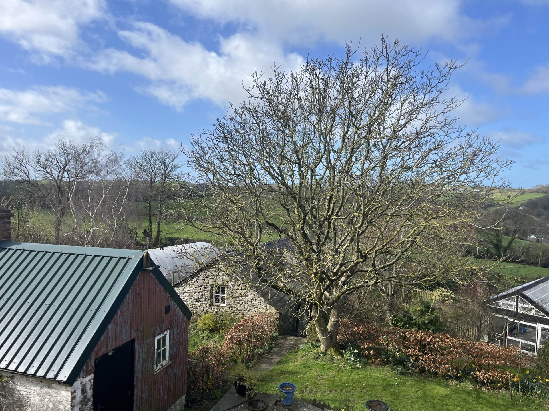 Llangwyryfon, Aberystwyth, Image 64