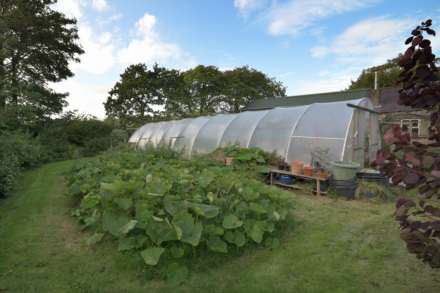 Llangwyryfon, Aberystwyth, Image 45