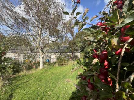 Llangwyryfon, Aberystwyth, Image 51