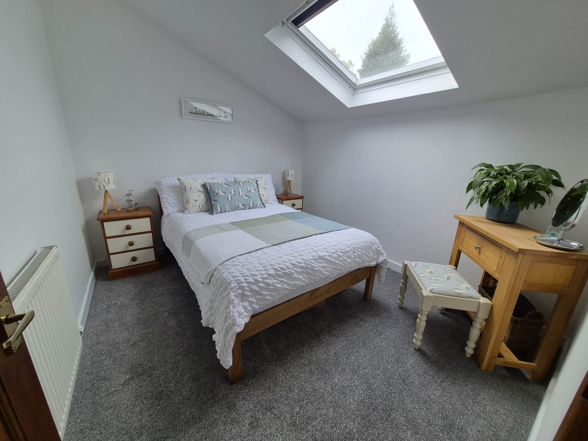 Goginan, Aberystwyth, Image 12