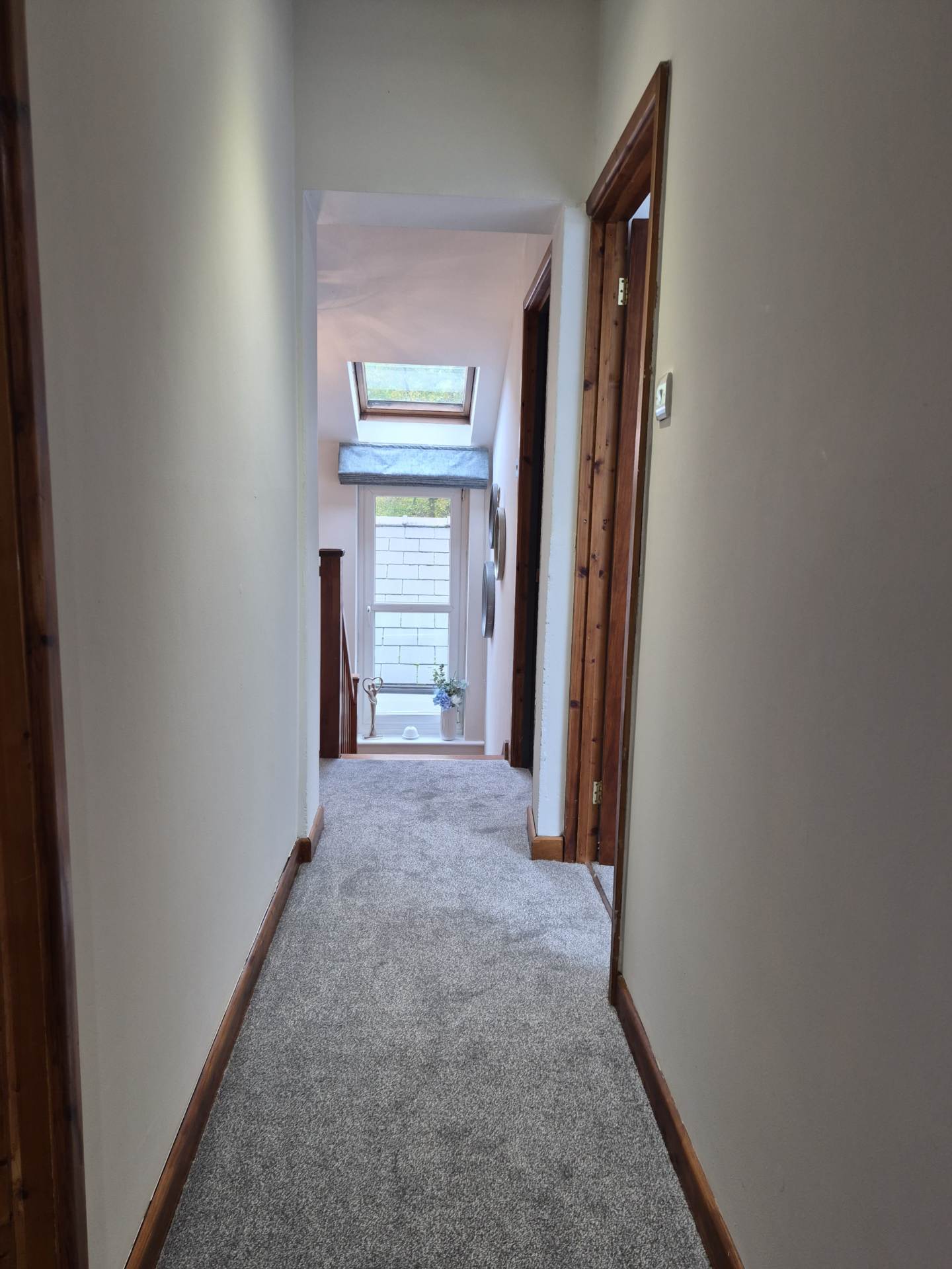 Goginan, Aberystwyth, Image 23