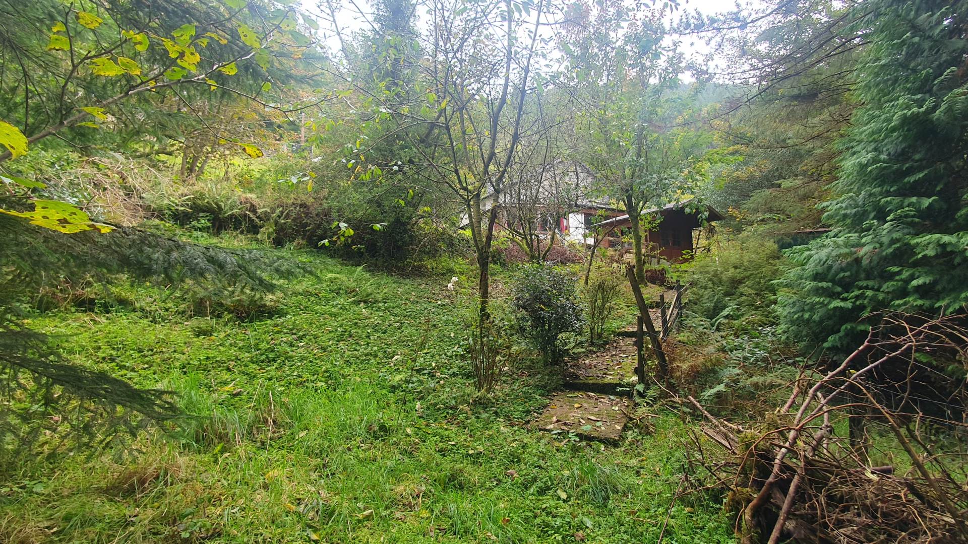 Upper Corris, Machynlleth, Image 24