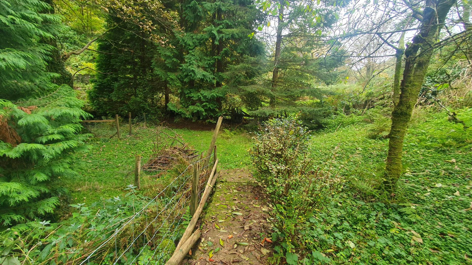 Upper Corris, Machynlleth, Image 25