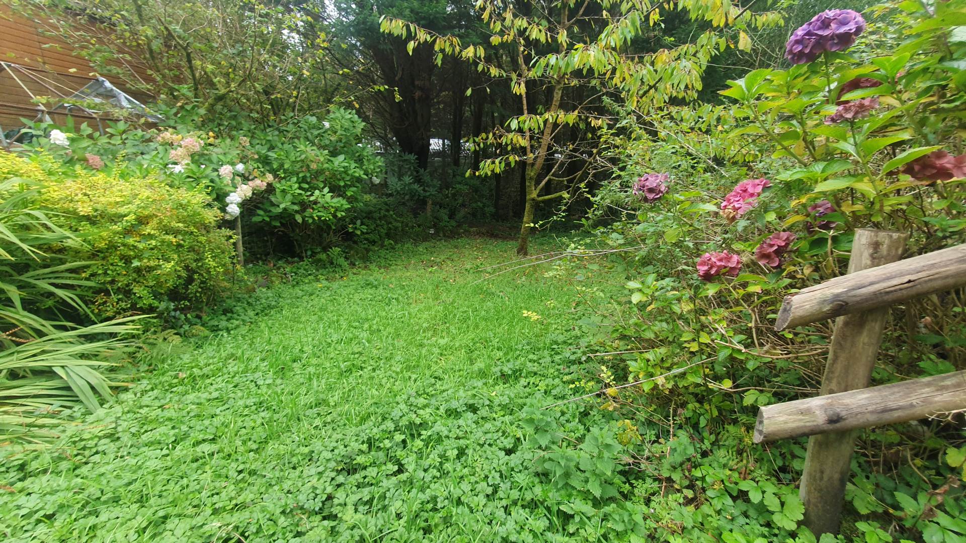 Upper Corris, Machynlleth, Image 26
