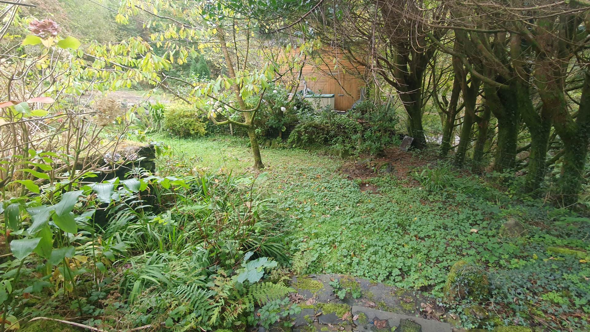 Upper Corris, Machynlleth, Image 28