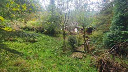 Upper Corris, Machynlleth, Image 24