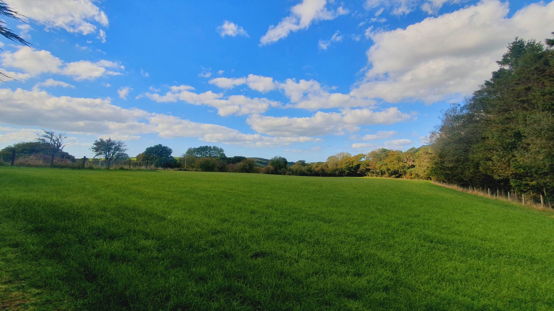 Rhosygarth, Llanilar, Image 3