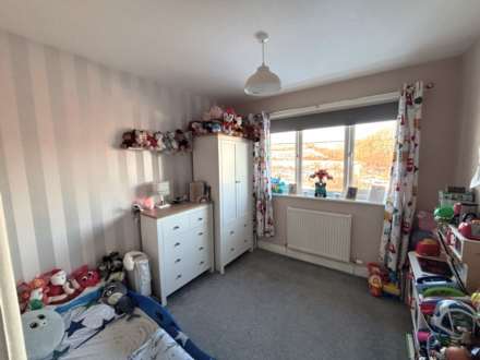 Y Gerddi, Blaenplwyf, Image 11