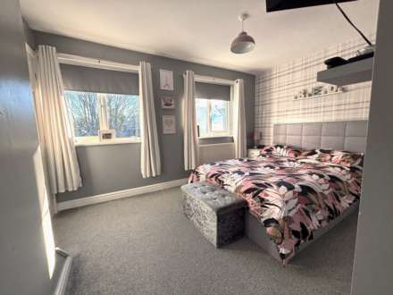 Y Gerddi, Blaenplwyf, Image 8