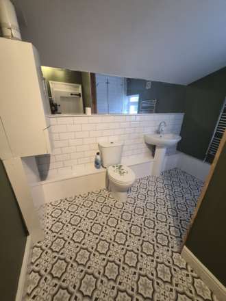 Heol Pentrehedyn, Machynlleth, Image 14