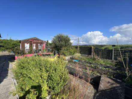 Pennant, Llanon, Image 25