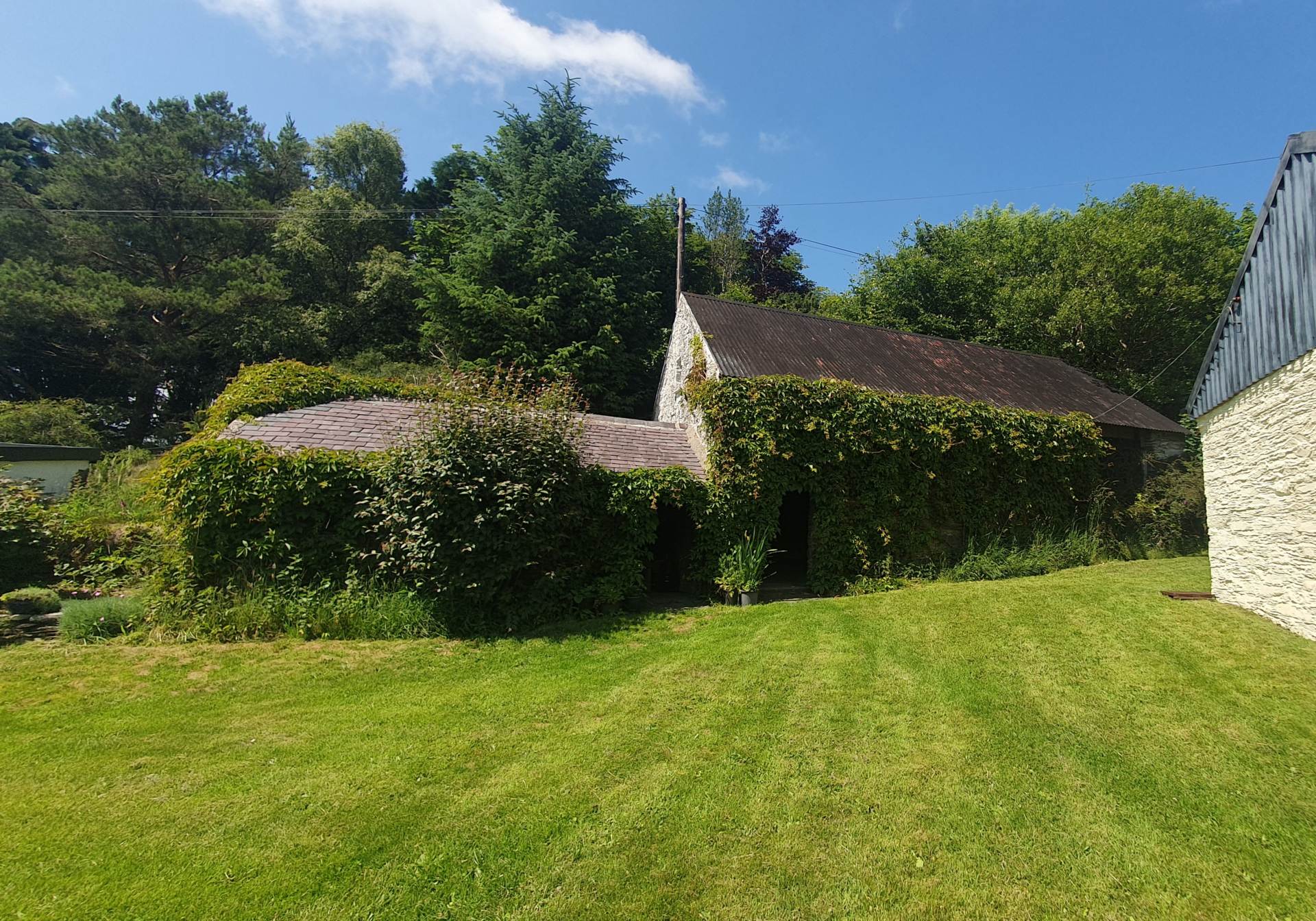 Ysbyty Ystwyth, Ystrad Meurig, Image 29