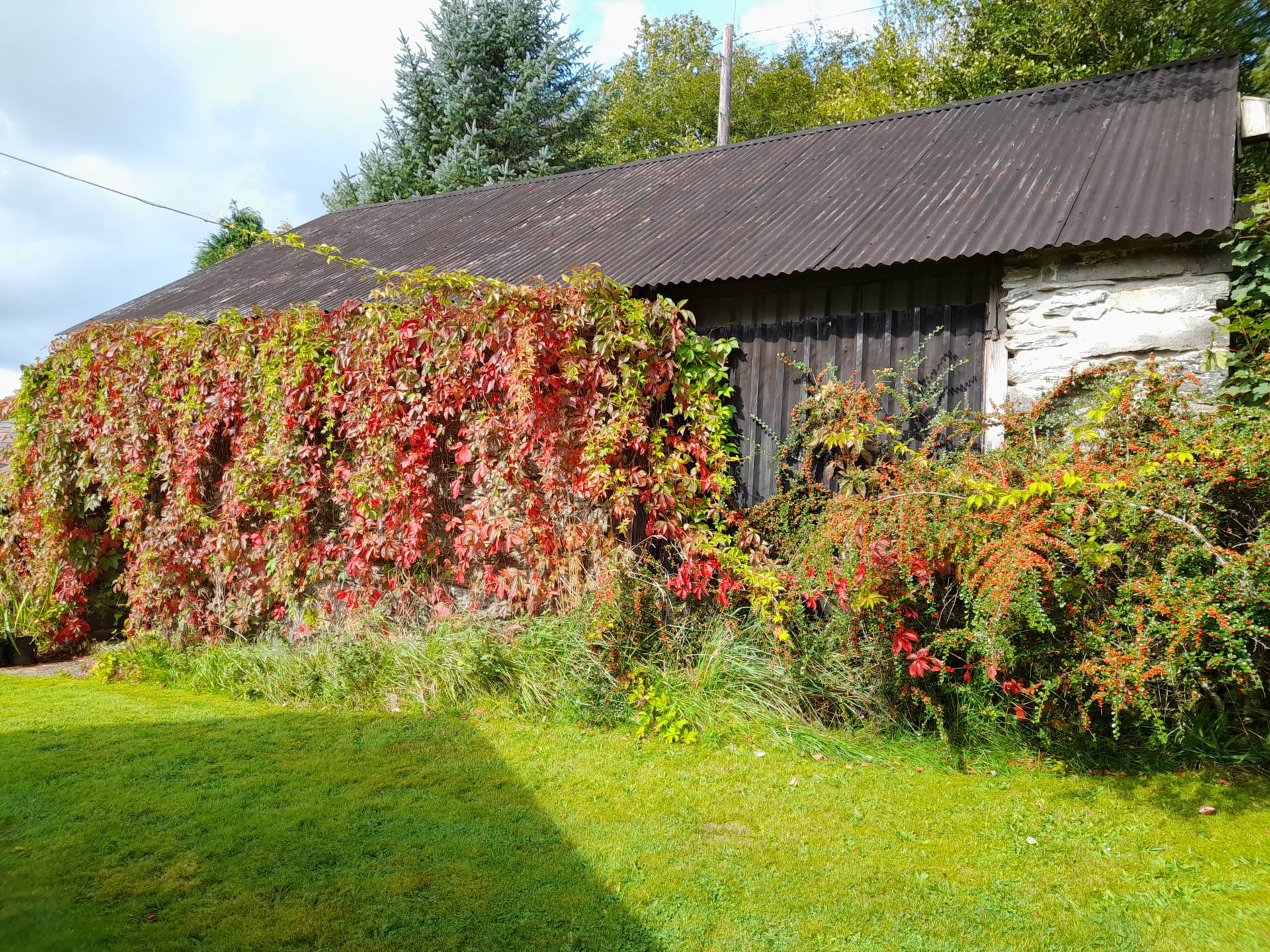 Ysbyty Ystwyth, Ystrad Meurig, Image 42
