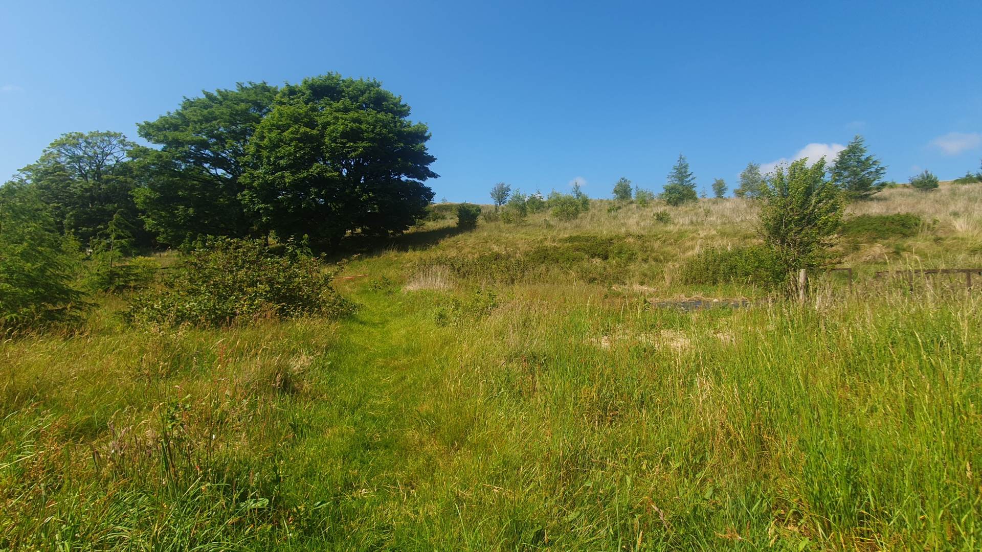 Ysbyty Ystwyth, Ystrad Meurig, Image 46