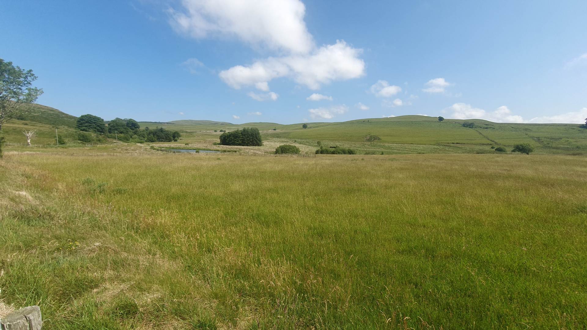 Ysbyty Ystwyth, Ystrad Meurig, Image 47