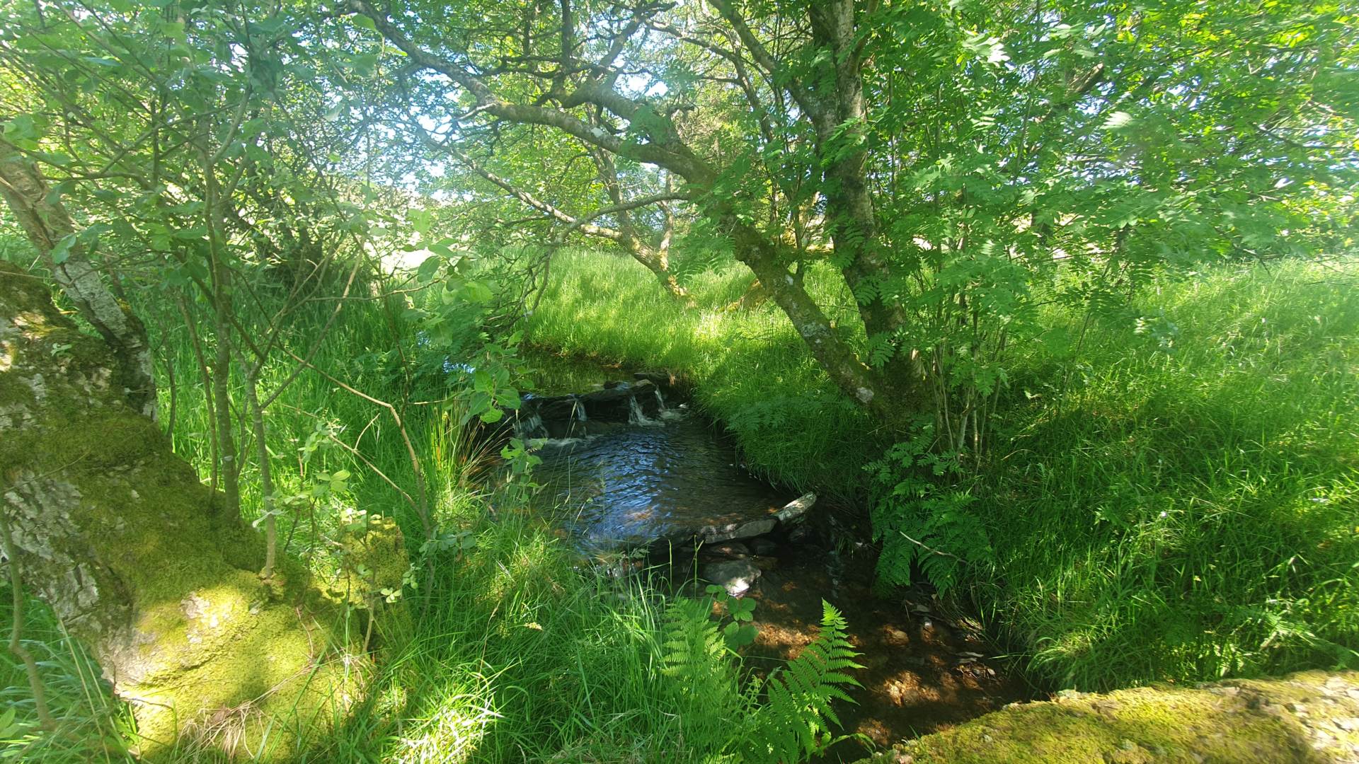 Ysbyty Ystwyth, Ystrad Meurig, Image 49