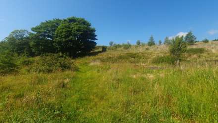 Ysbyty Ystwyth, Ystrad Meurig, Image 46